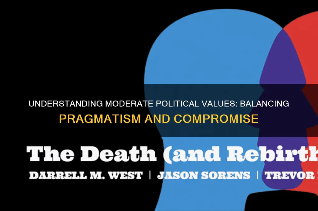 what is moderate political values