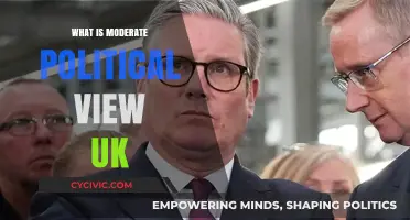 Understanding the Centrist Political Landscape in the UK