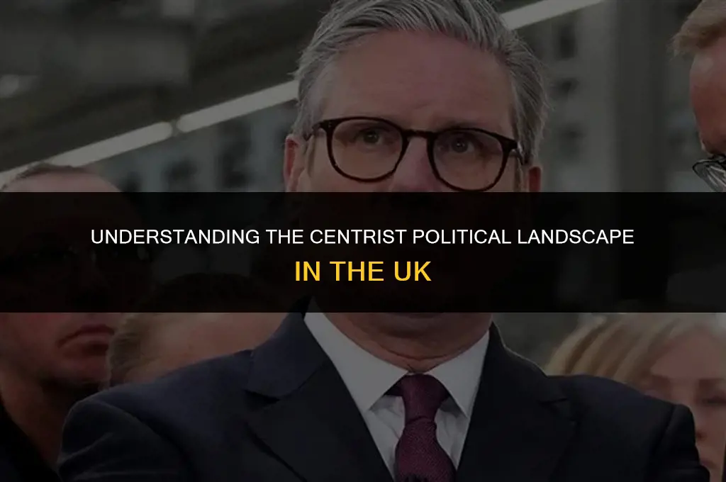 what is moderate political view uk