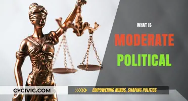 Understanding Moderate Politics: Balancing Ideologies for Pragmatic Governance