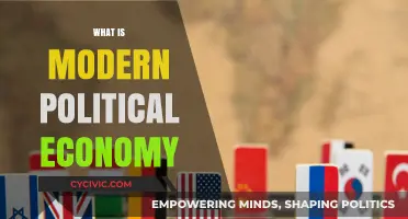 Understanding Modern Political Economy: Power, Markets, and Global Dynamics