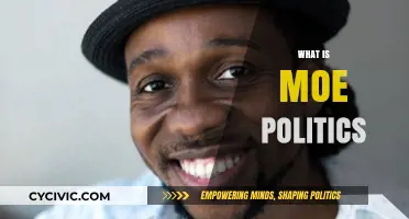 Understanding Moe Politics: Origins, Impact, and Global Influence Explained