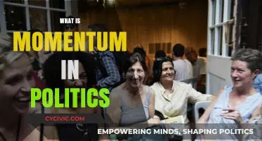 Understanding Political Momentum: How It Shapes Campaigns and Elections