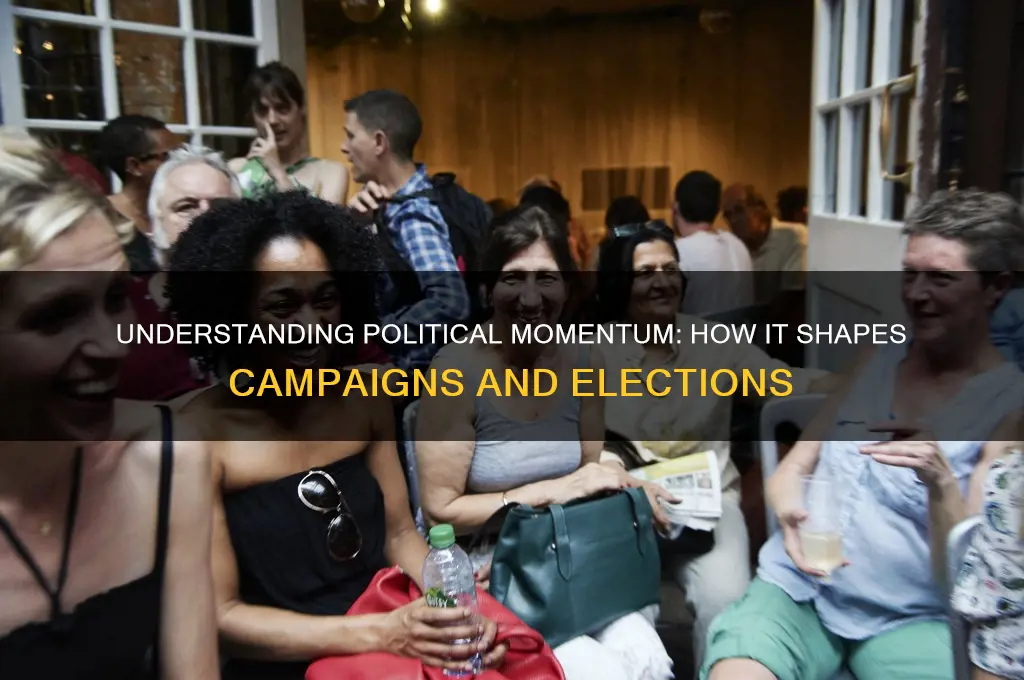 what is momentum in politics