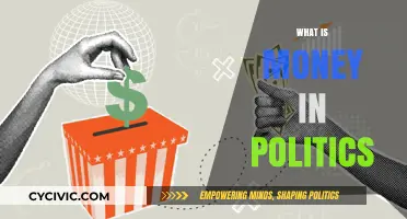 Money in Politics: Influence, Power, and Democracy Explained