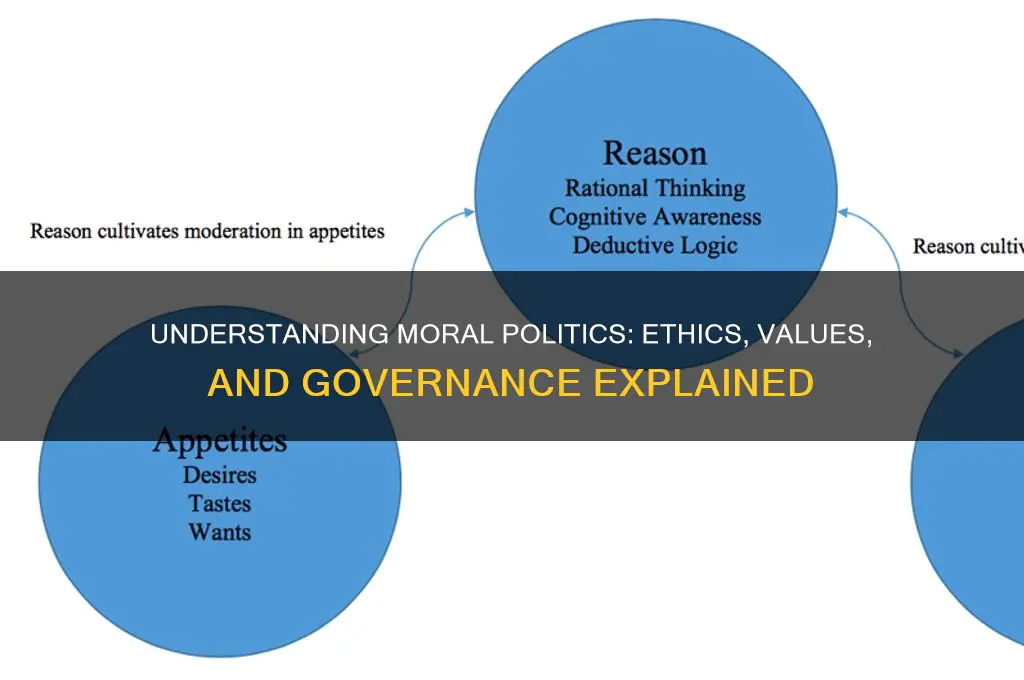 what is moral politics