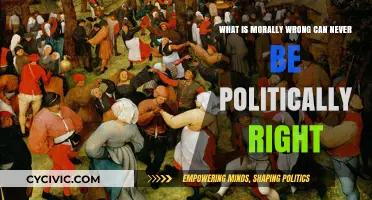 Moral Missteps: Why Political Expedience Can't Justify Wrongdoing