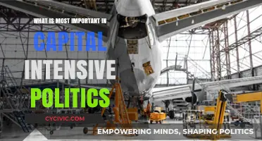 Prioritizing Progress: Key Factors in Capital-Intensive Politics