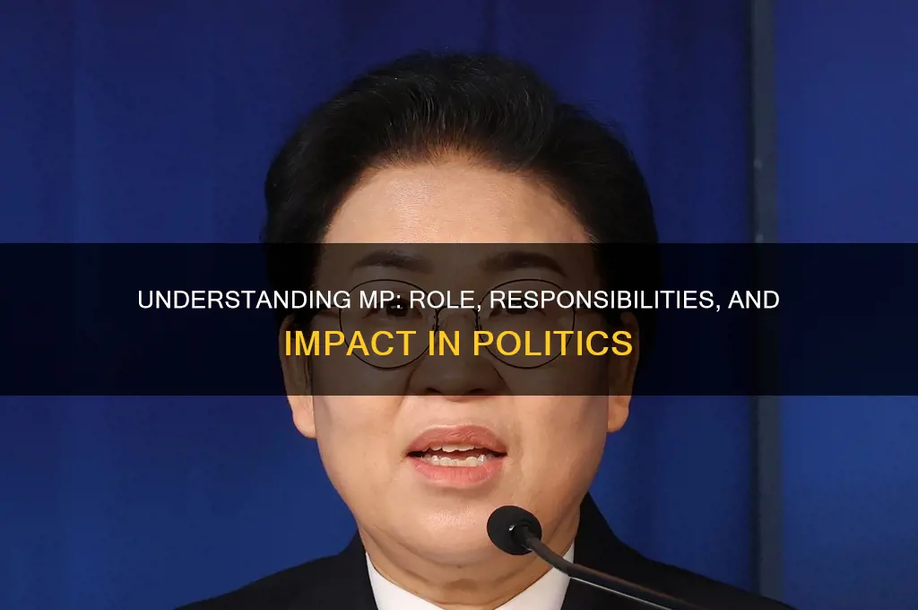 what is mp in politics