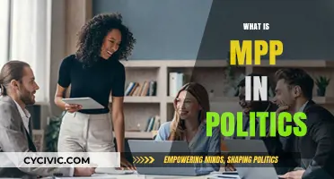 Understanding MPP: Role, Responsibilities, and Impact in Political Systems