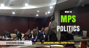 Understanding MPS Politics: Key Concepts, Roles, and Impact Explained