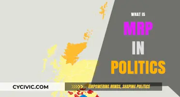 Understanding MRP: A Powerful Tool in Political Polling and Analysis