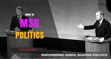 Understanding MSG Politics: Global Debates, Health Concerns, and Cultural Impact