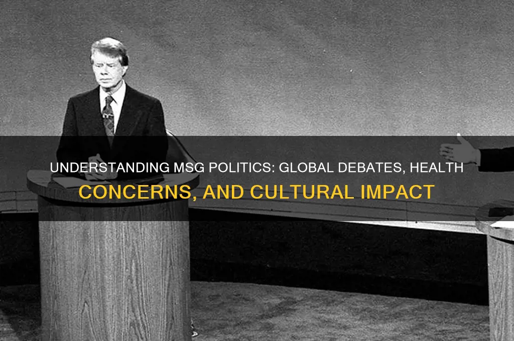 what is msg politics