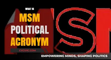 Understanding MSM: Decoding the Political Acronym and Its Media Implications