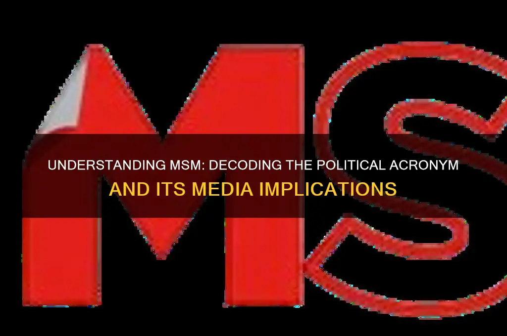 what is msm political acronym