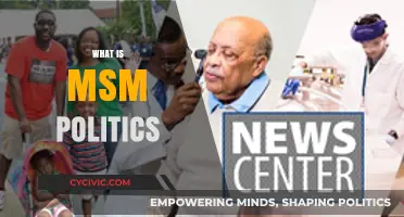 Understanding MSM Politics: Media Influence and Political Narratives Explained