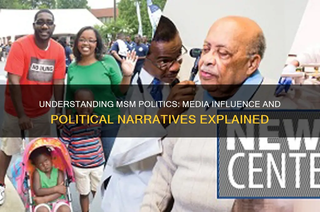 what is msm politics