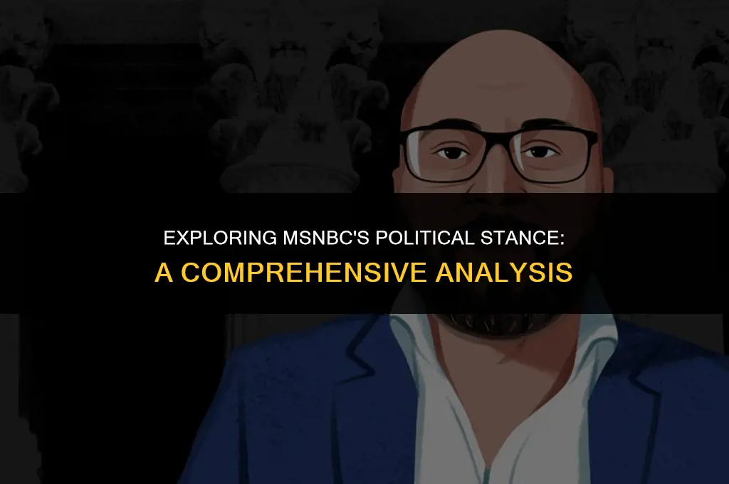 what is msnbc political views