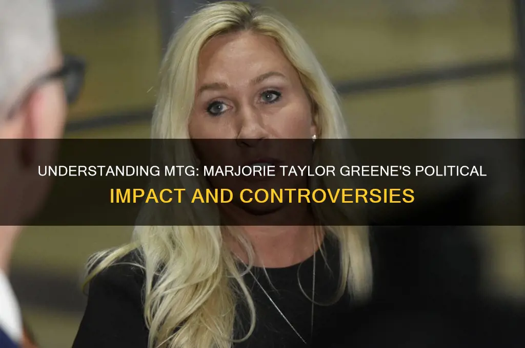 what is mtg in politics