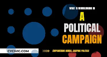 Mudslinging: Political Campaign's Dirty Tricks and Smear Tactics