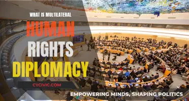 Human Rights Multilateralism: Global Diplomacy in Action