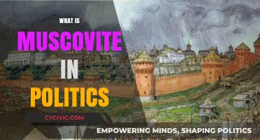 Understanding Muscovite Influence: Political Strategies and Global Implications Explained