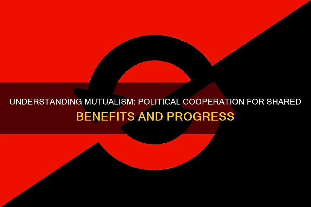 what is mutualism in politics