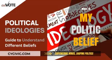 Exploring My Political Beliefs: A Personal Journey of Ideologies and Values