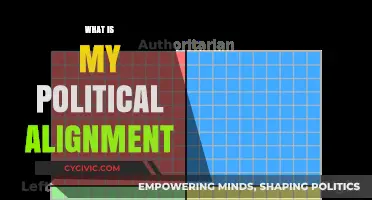 Discovering Your Political Alignment: A Guide to Understanding Your Beliefs
