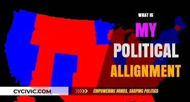 Discovering Your Political Alignment: A Personal Journey to Understanding Beliefs