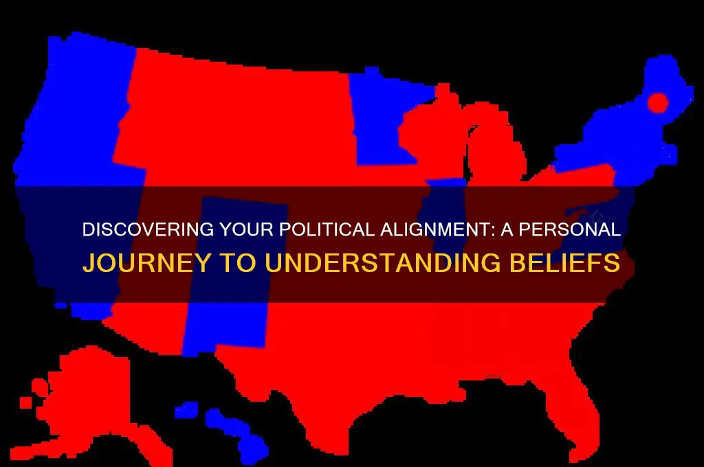 what is my political allignment