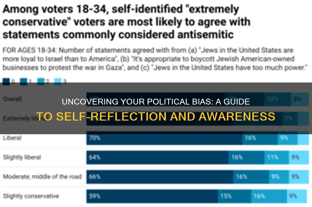 what is my political bias
