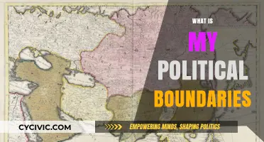 Exploring Personal Political Boundaries: Identity, Beliefs, and Civic Engagement