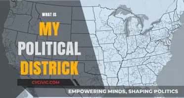 Discover Your Political District: A Guide to Local Representation