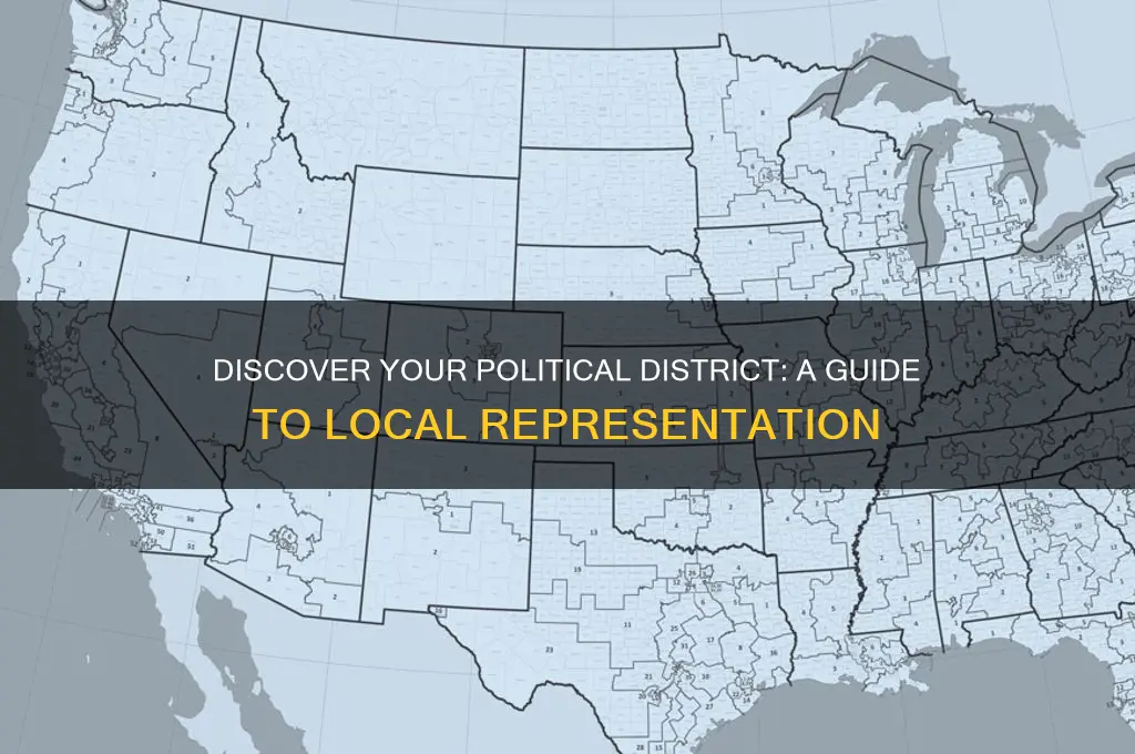 what is my political districk