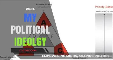 Exploring My Political Beliefs: Understanding My Core Ideological Values
