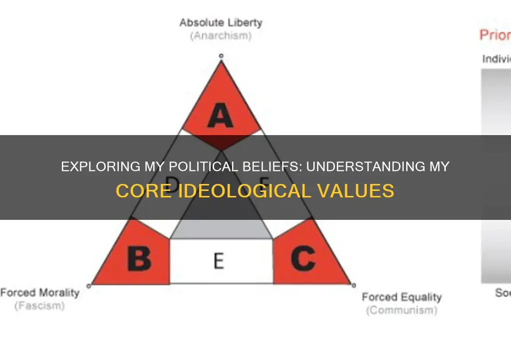 what is my political ideolgy