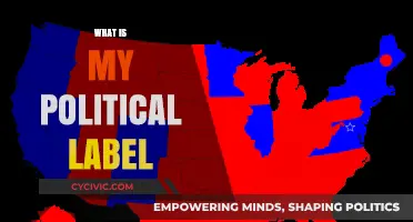 Discovering Your Political Identity: Unraveling the Label That Fits You Best