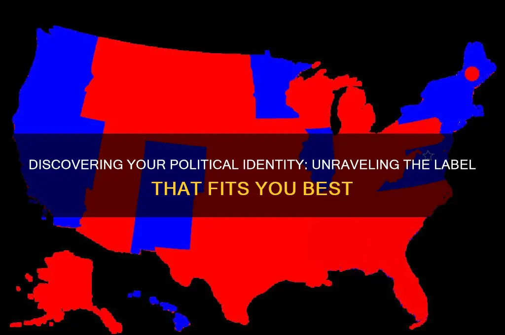 what is my political label
