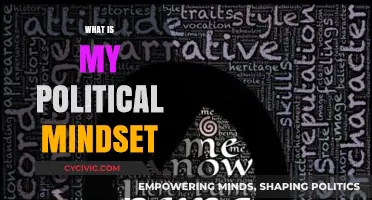 Exploring My Political Mindset: Beliefs, Values, and Ideological Identity