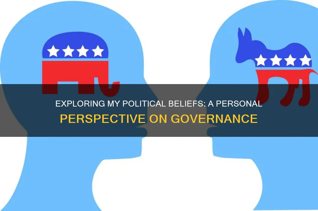 what is my political opinion