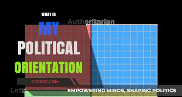 Discovering Your Political Compass: Understanding Your Core Beliefs and Values