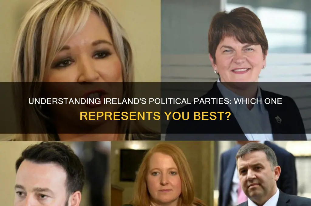 what is my political party ireland