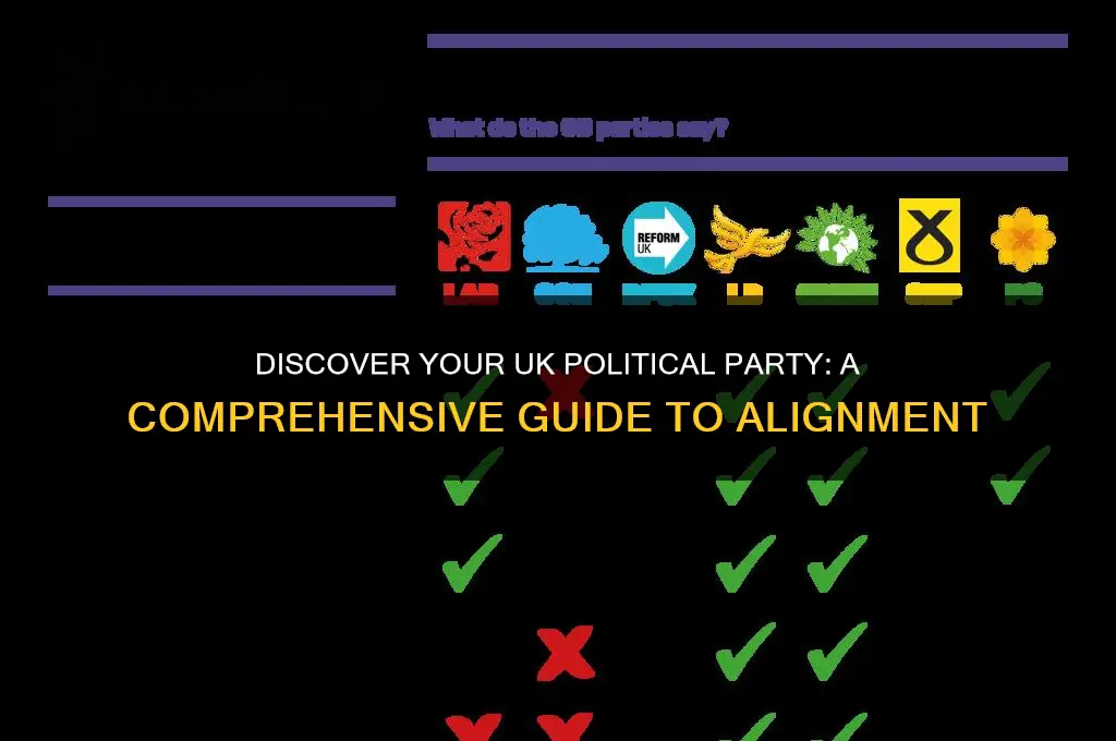what is my political party uk