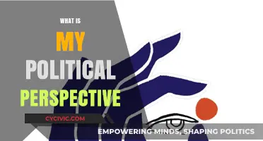 Exploring My Political Perspective: Beliefs, Values, and Ideological Identity