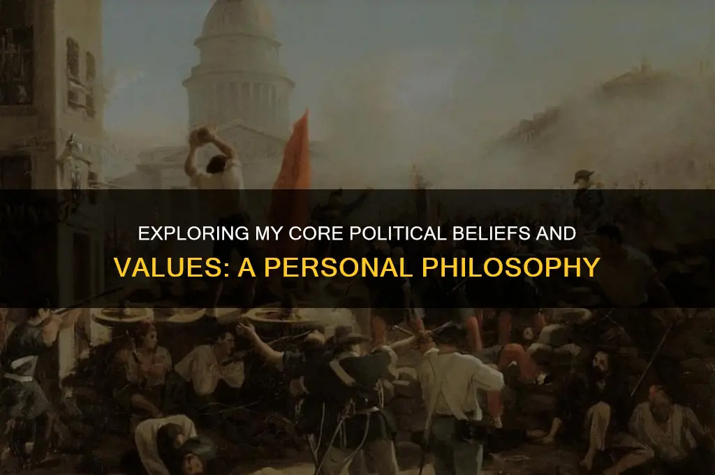 what is my political philosophy