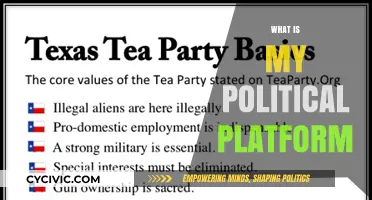 Discovering My Political Platform: Values, Vision, and Policy Priorities