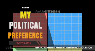 Discovering Your Political Compass: Unveiling Personal Beliefs and Values