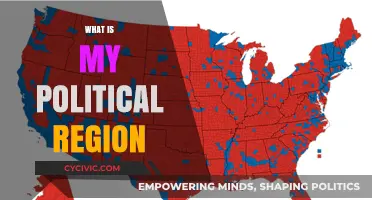 Discover Your Political Region: Understanding Local, National, and Global Influences